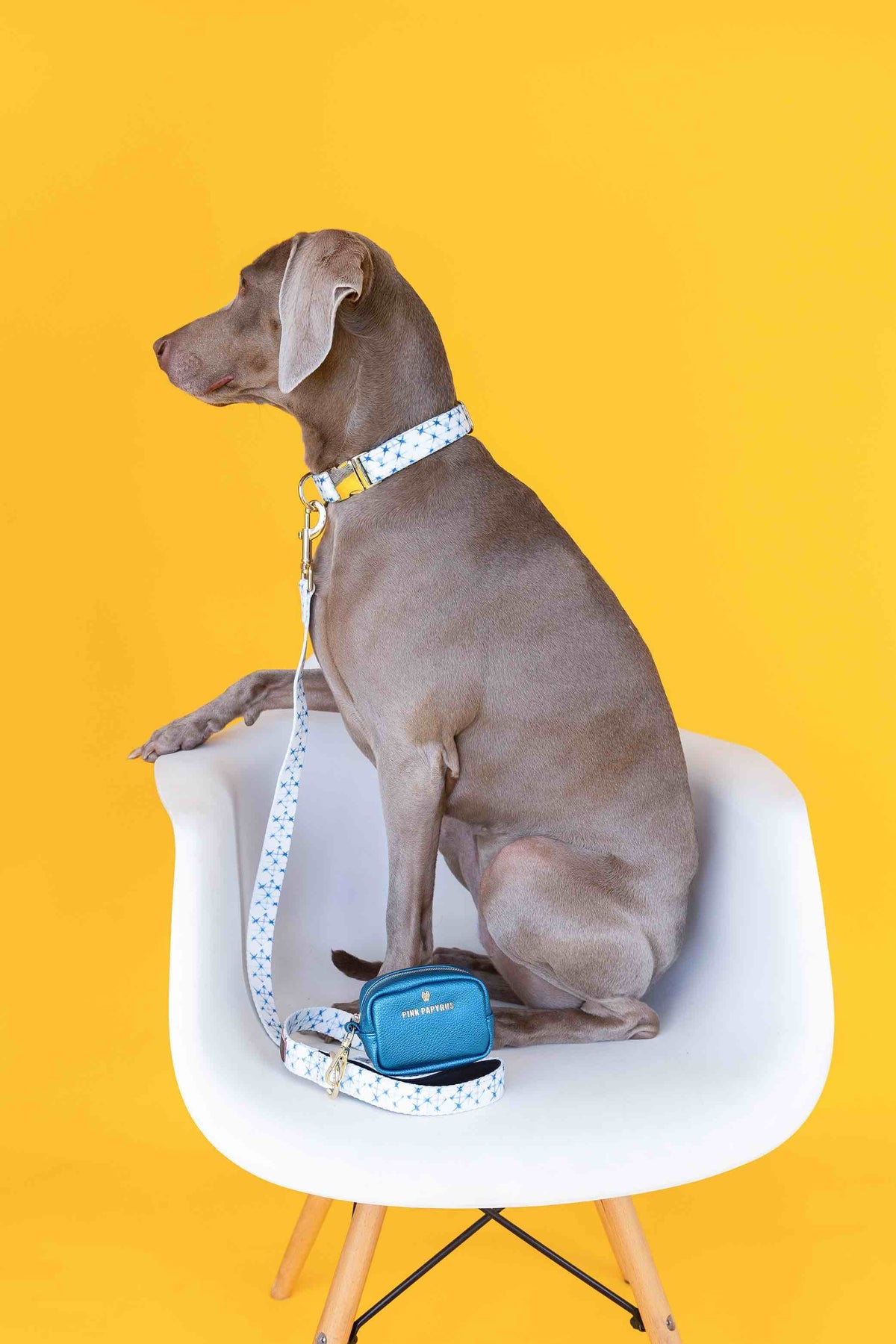 Drew dog collar — additional photo 6