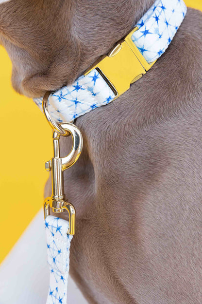Drew dog collar — additional photo 7