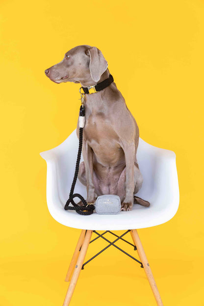 Frankie treat pouch and poop bag holder — additional photo 5