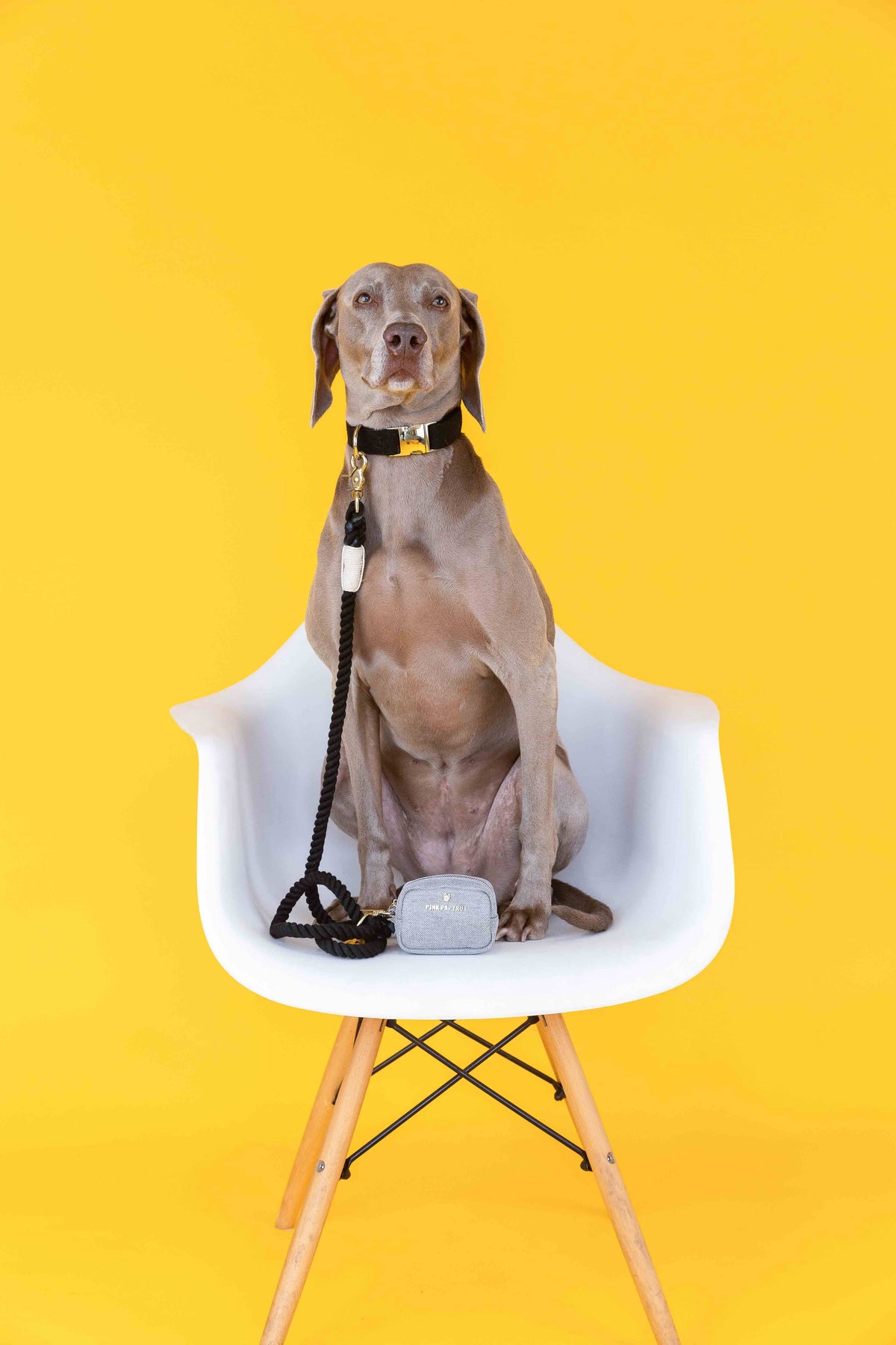 Kerry rope dog leash — additional photo 5