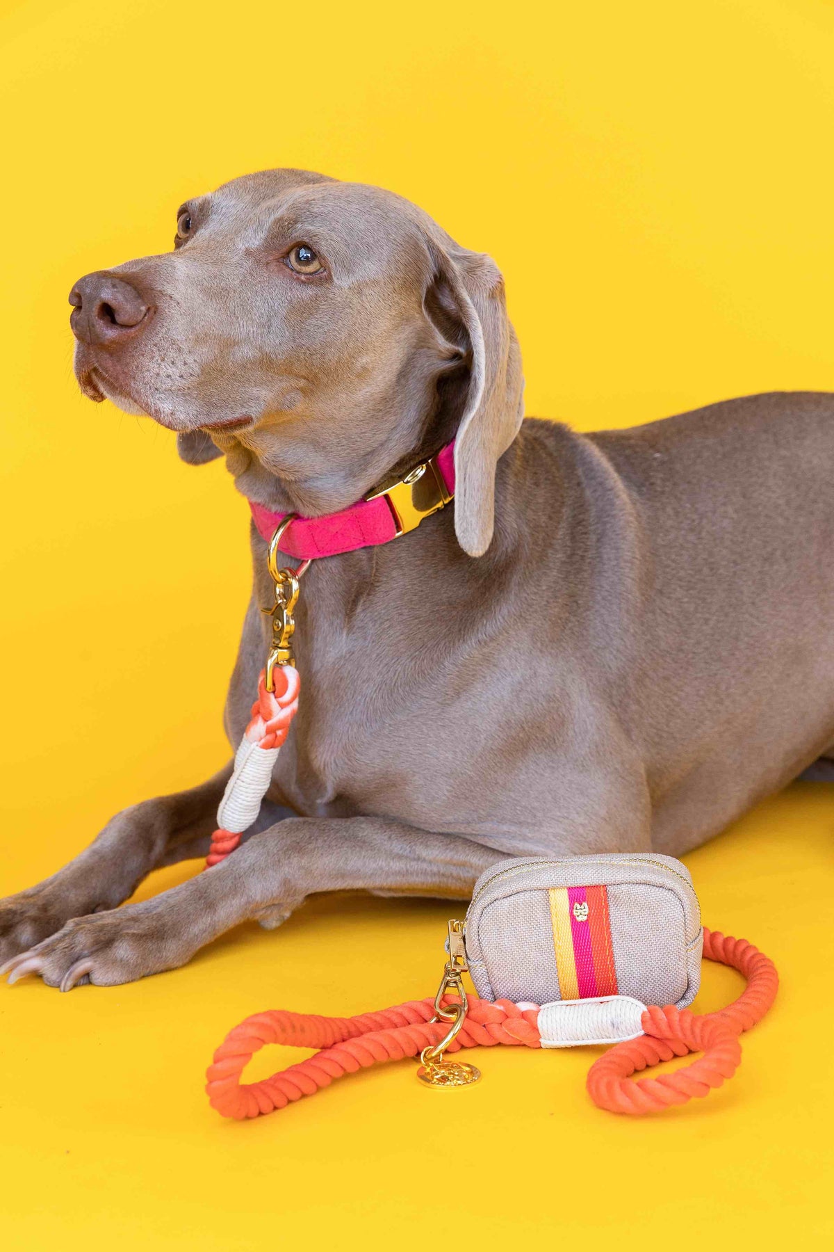 Adele treat pouch and poop bag holder — additional photo 5