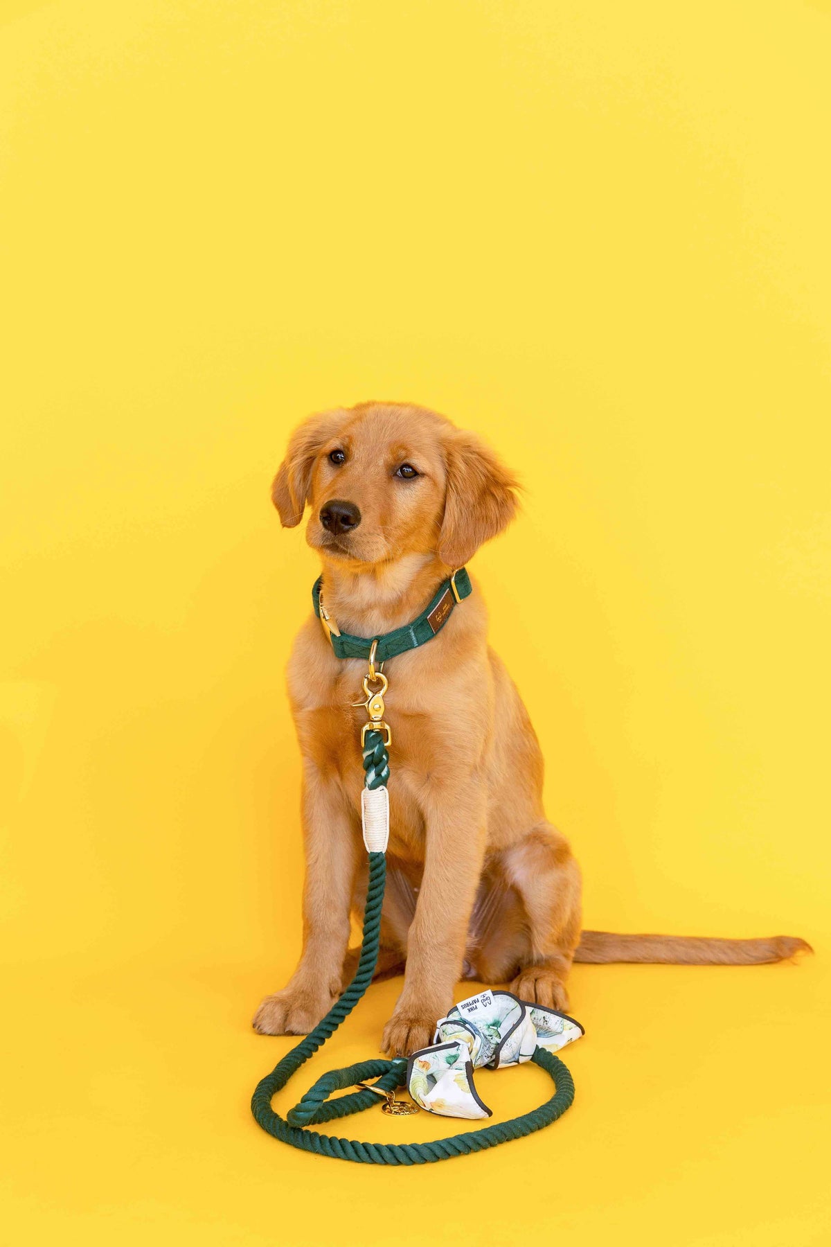 Cosette dog bandana — additional photo 2