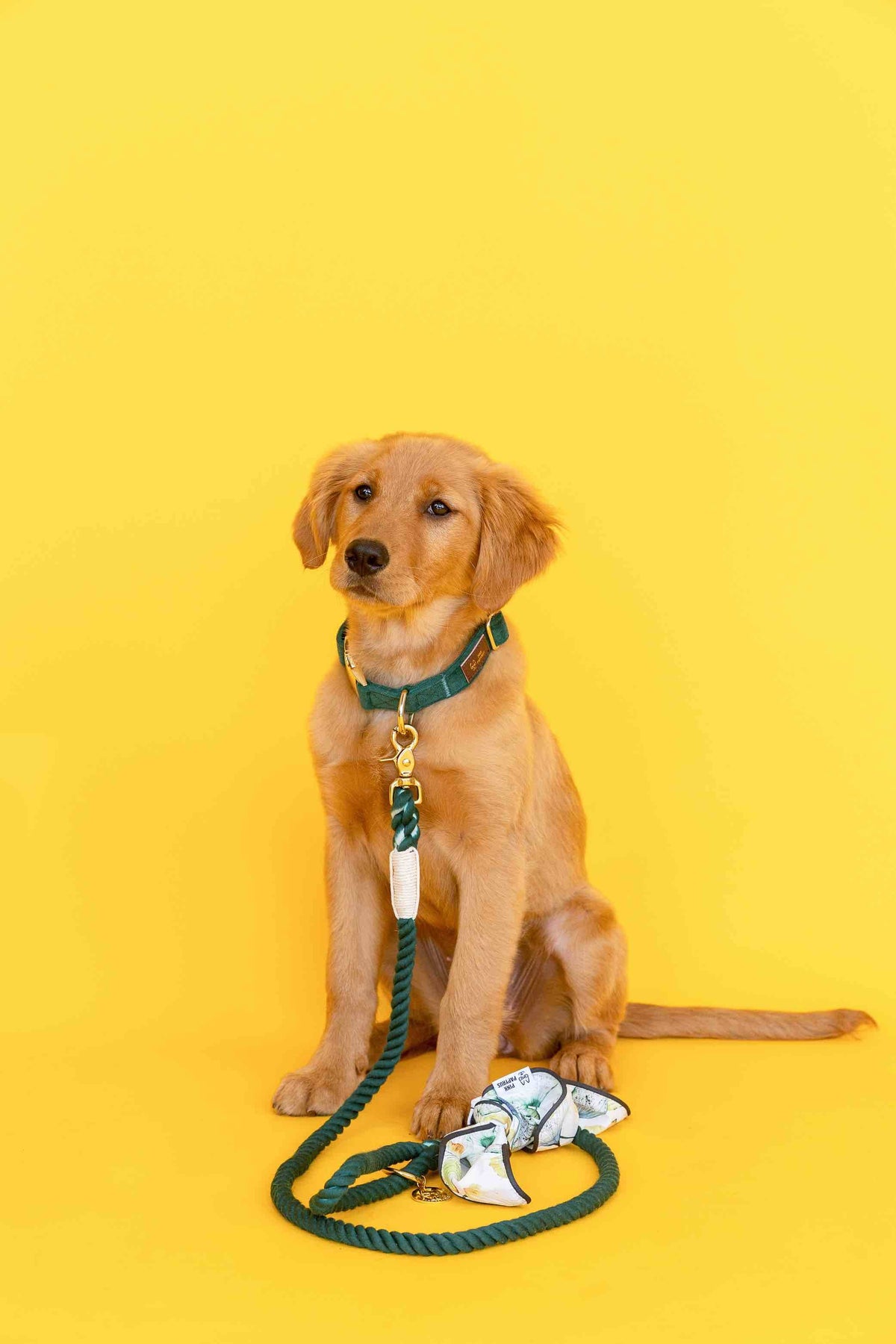 Sam rope dog leash — additional photo 6