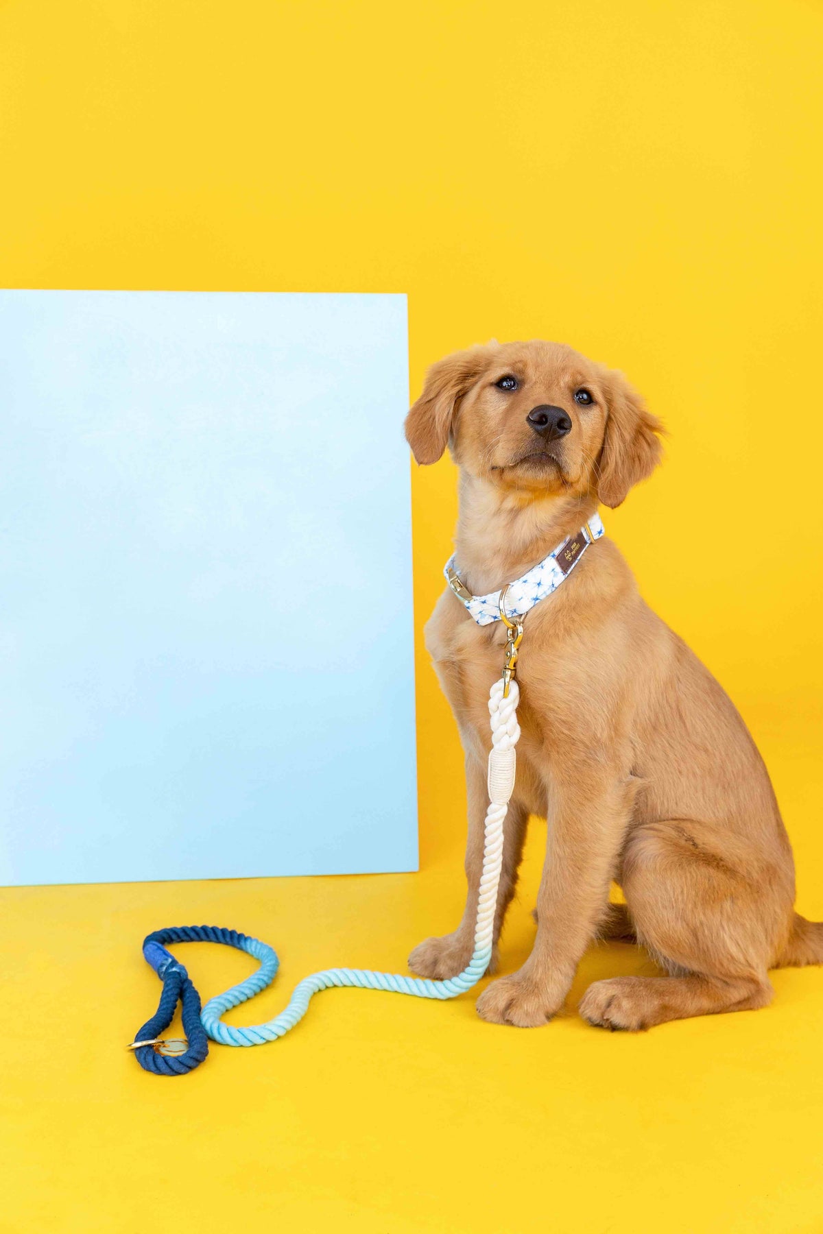Kennedy rope dog leash — additional photo 2