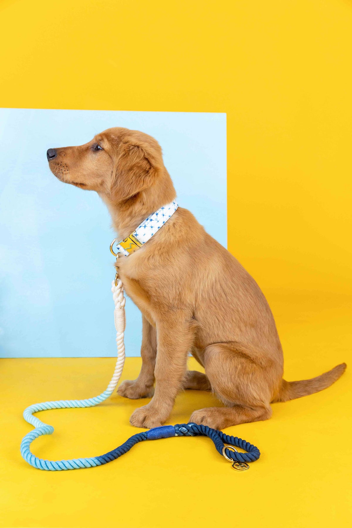 Kennedy rope dog leash — additional photo 6
