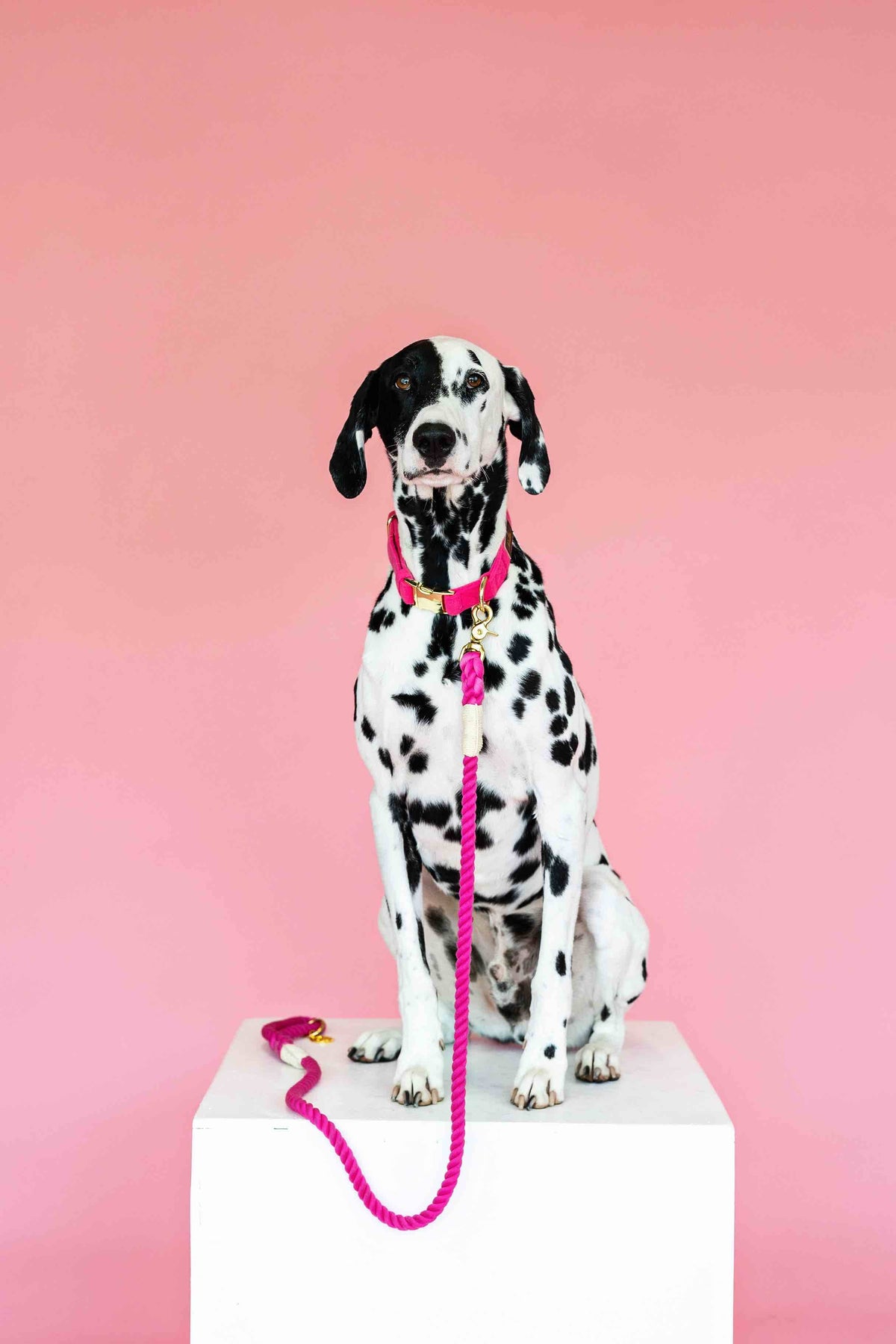 Christine rope dog leash — additional photo 2