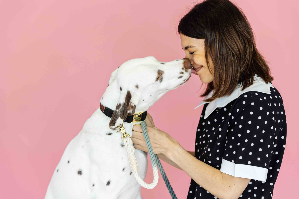 Cairo rope dog leash — additional photo 7