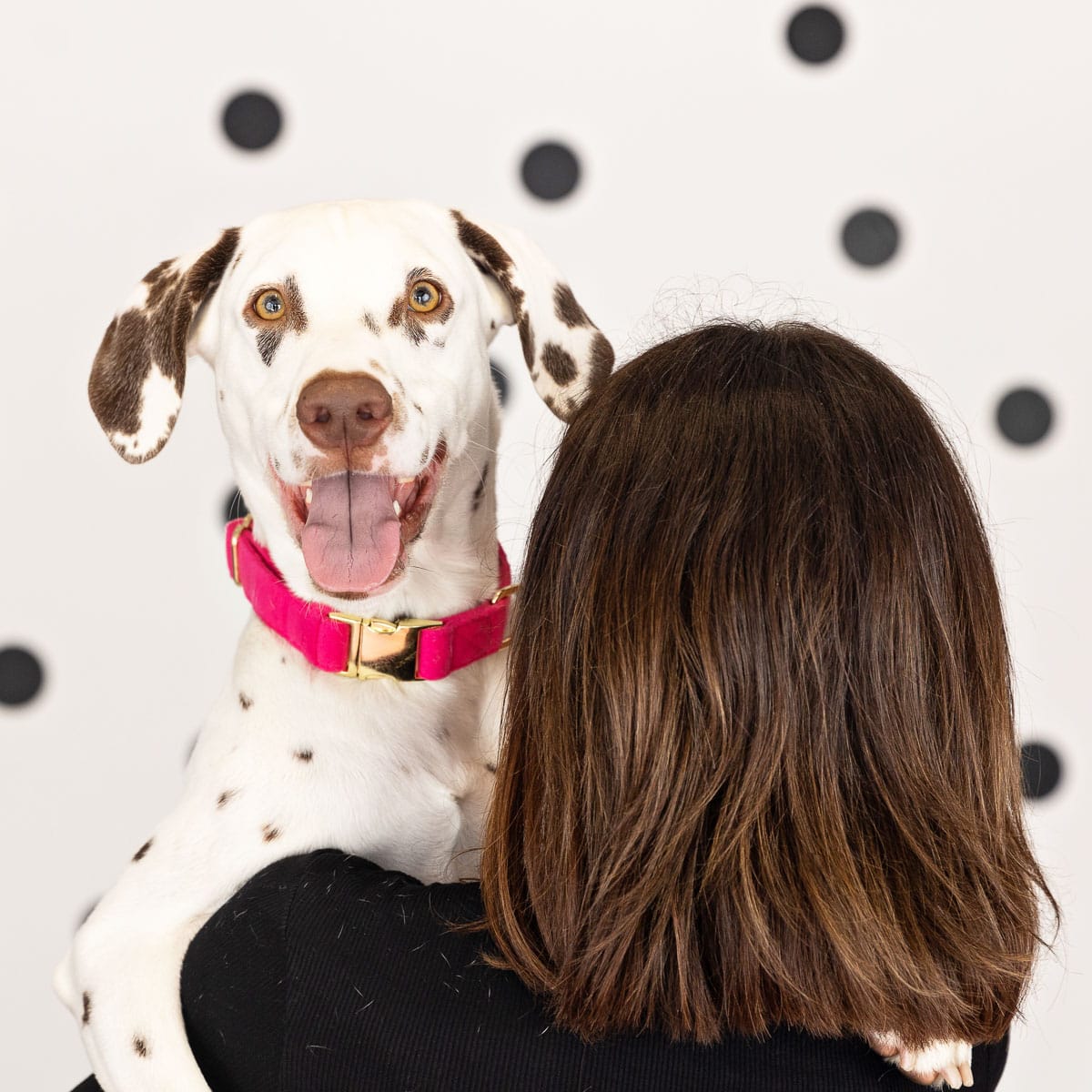 Antoinette dog collar — additional photo 8