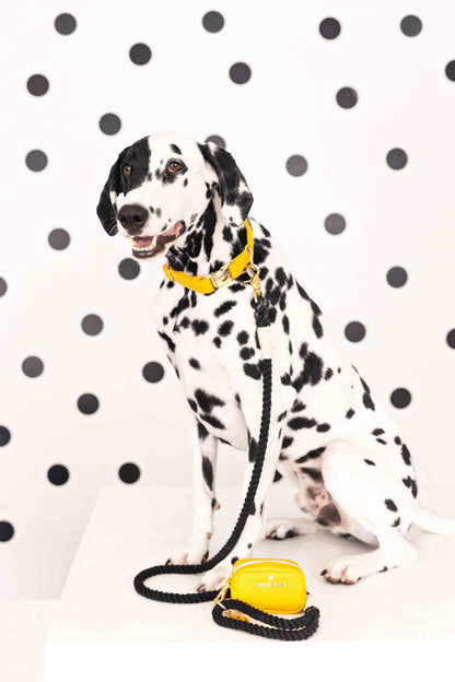 Kerry rope dog leash — additional photo 2