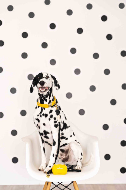 Colie treat pouch and poop bag holder — additional photo 5