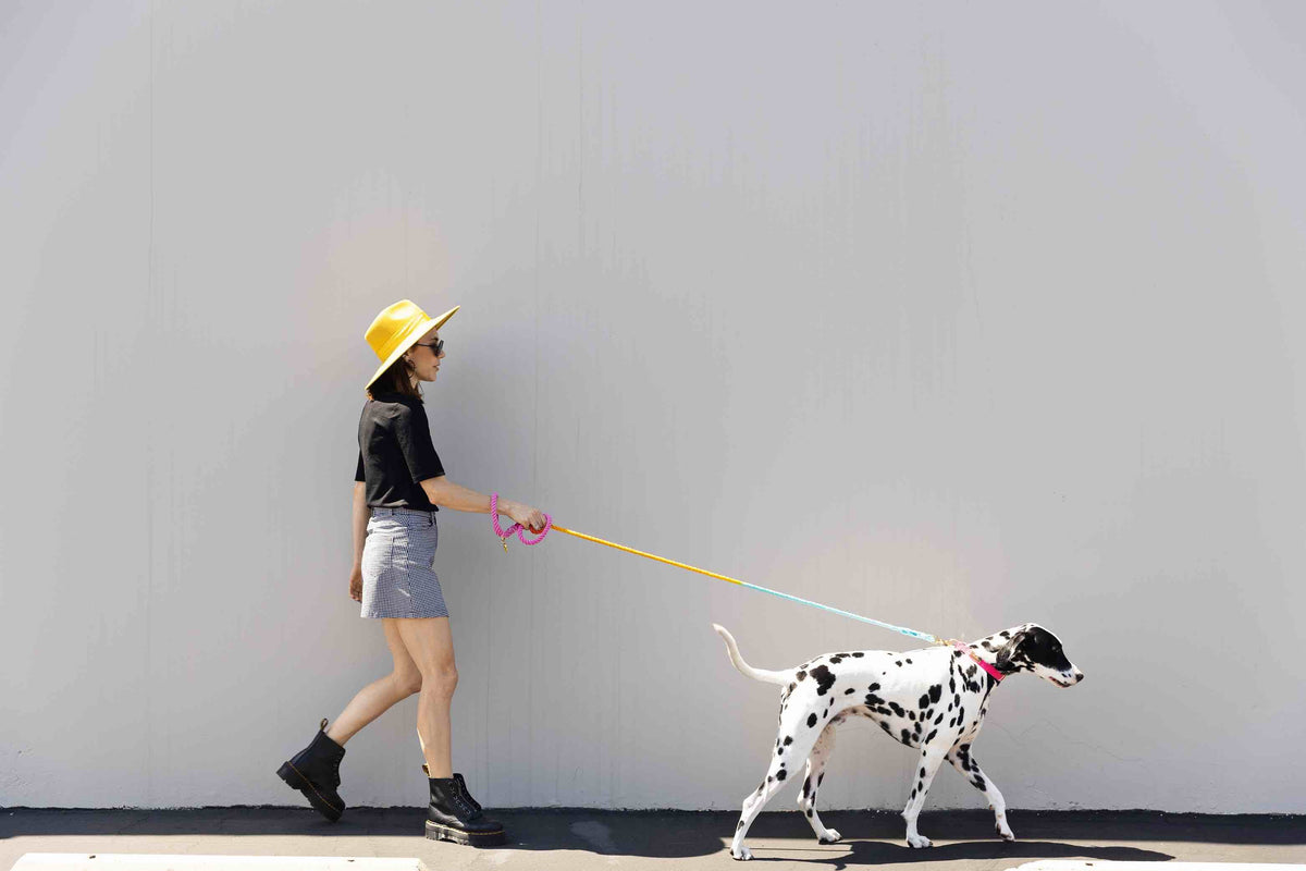 Marley rope dog leash — additional photo 6