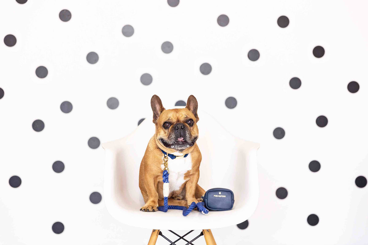 Reagan treat pouch and poop bag holder — additional photo 7