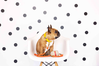 Adele treat pouch and poop bag holder — additional photo 4