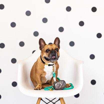 Ariel rope dog leash — additional photo 6