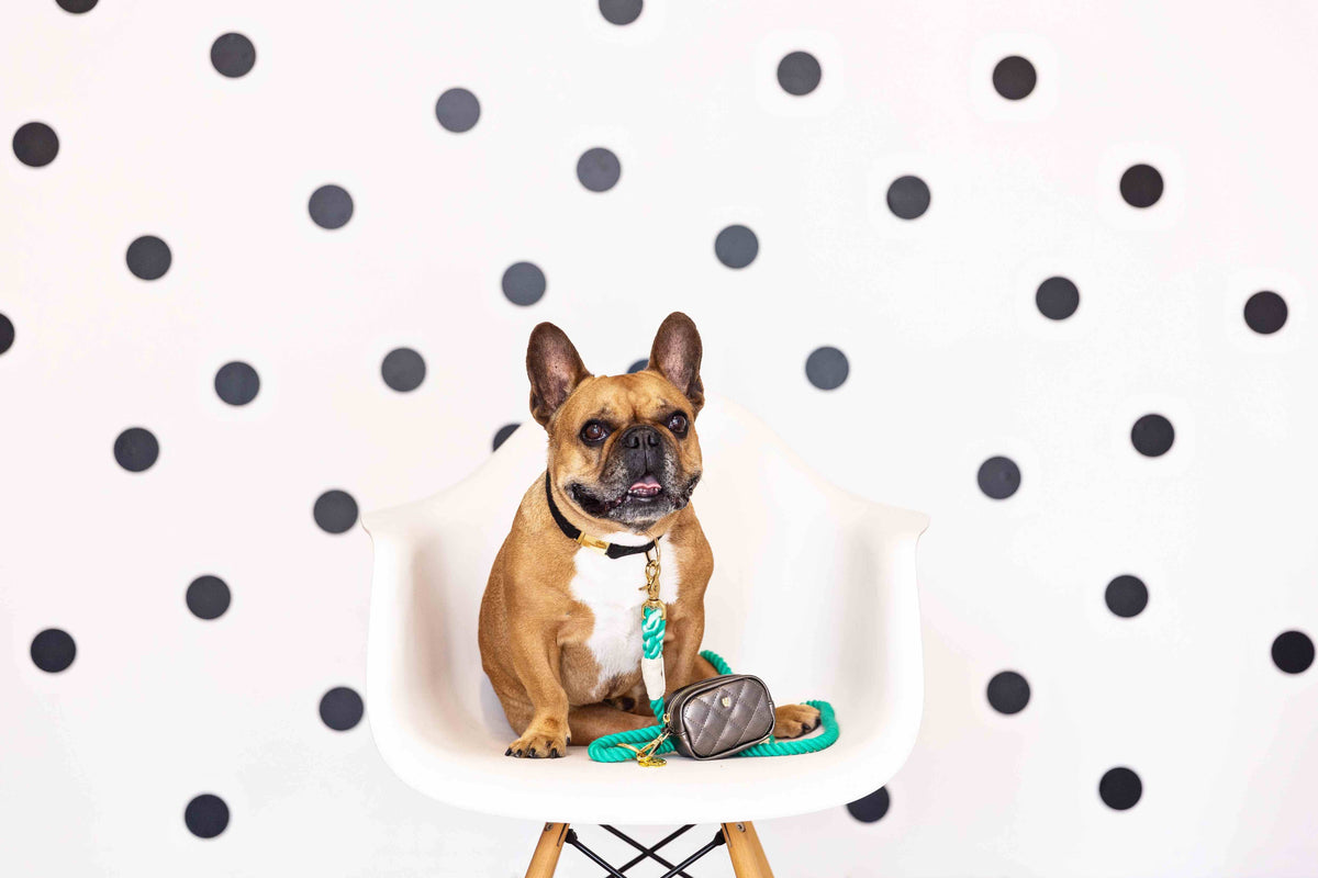 Melissa treat pouch and poop bag holder — additional photo 5