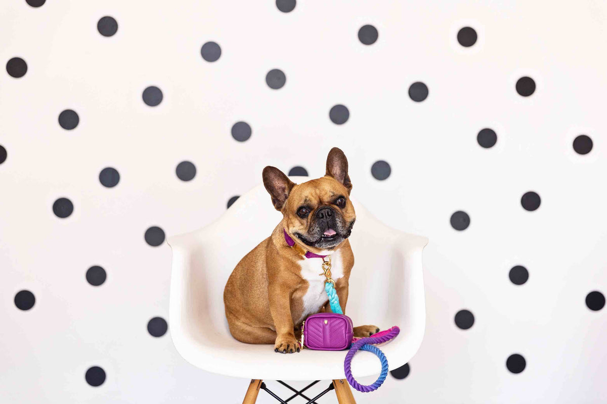 Pixie rope dog leash — additional photo 5