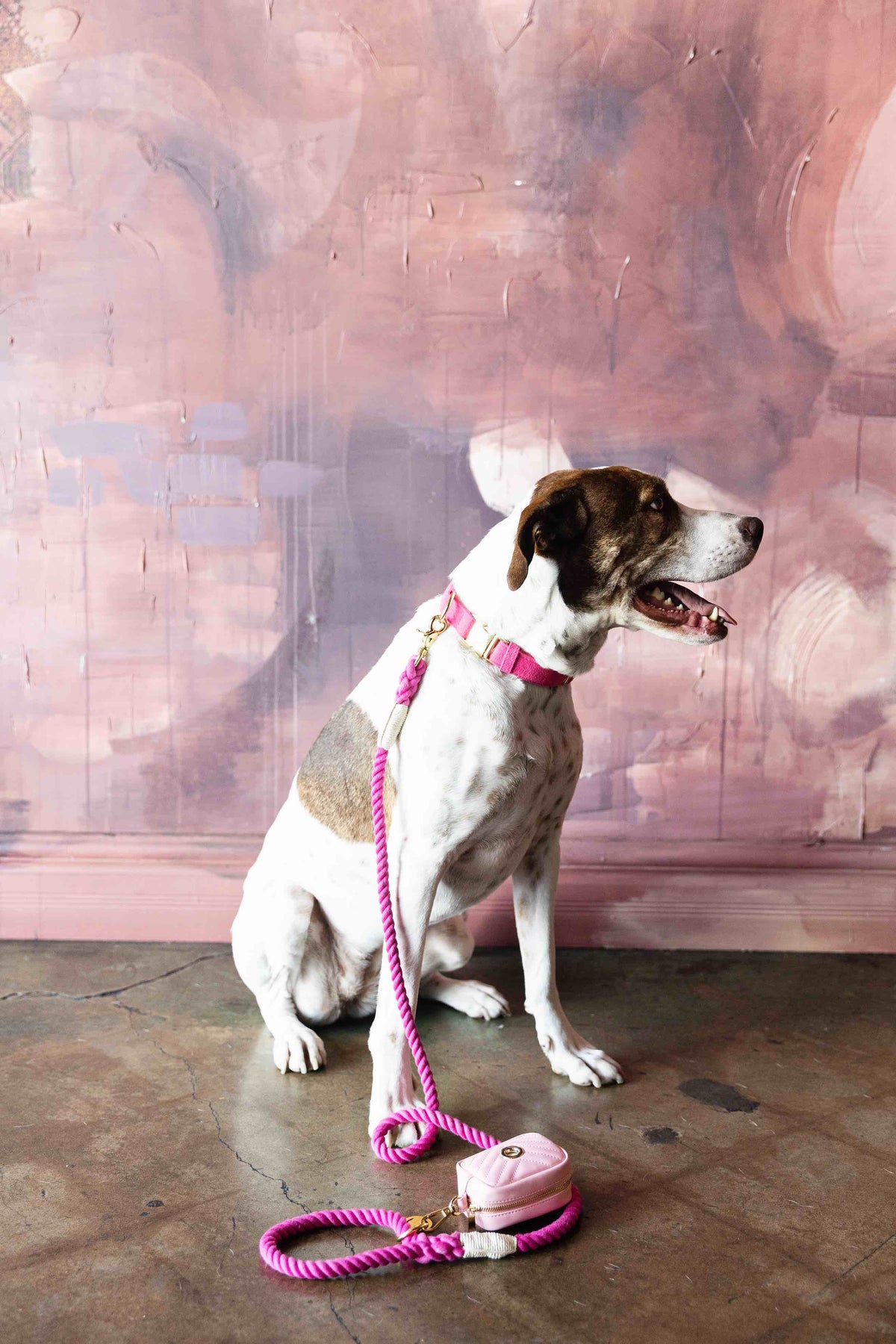 Christine rope dog leash — additional photo 7