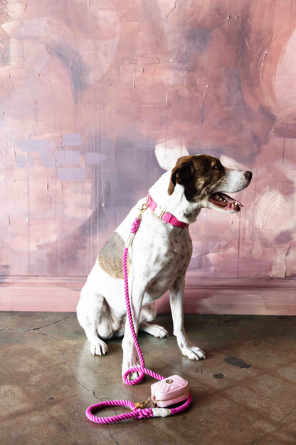 Christine rope dog leash — additional photo 7