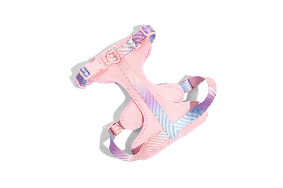 Diem dog harness — additional photo 2