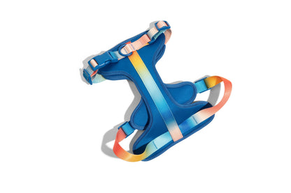 Atlas dog harness — additional photo 2