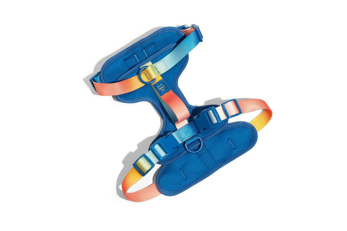 Atlas – No-Pull Blue Dog Harness, 3 Leash Rings