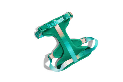Parker dog harness — additional photo 2
