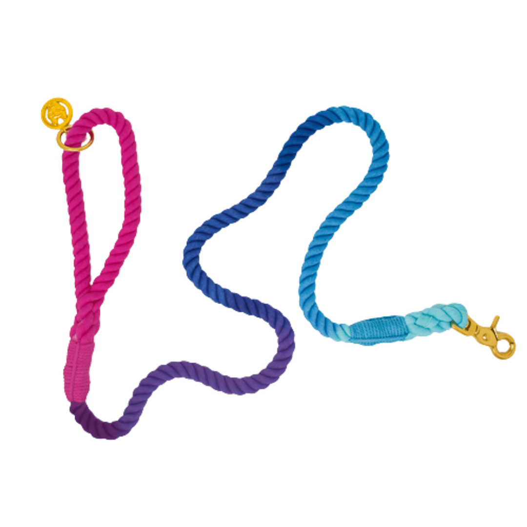 Pixie – Organic Cotton Rope Dog Leash, Ombre