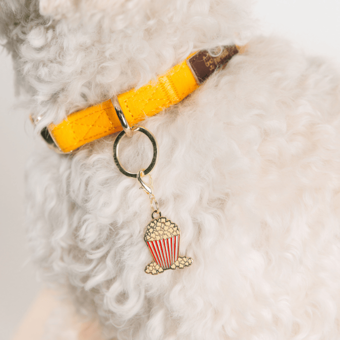 Popcorn Dog Collar Charm — additional photo 2