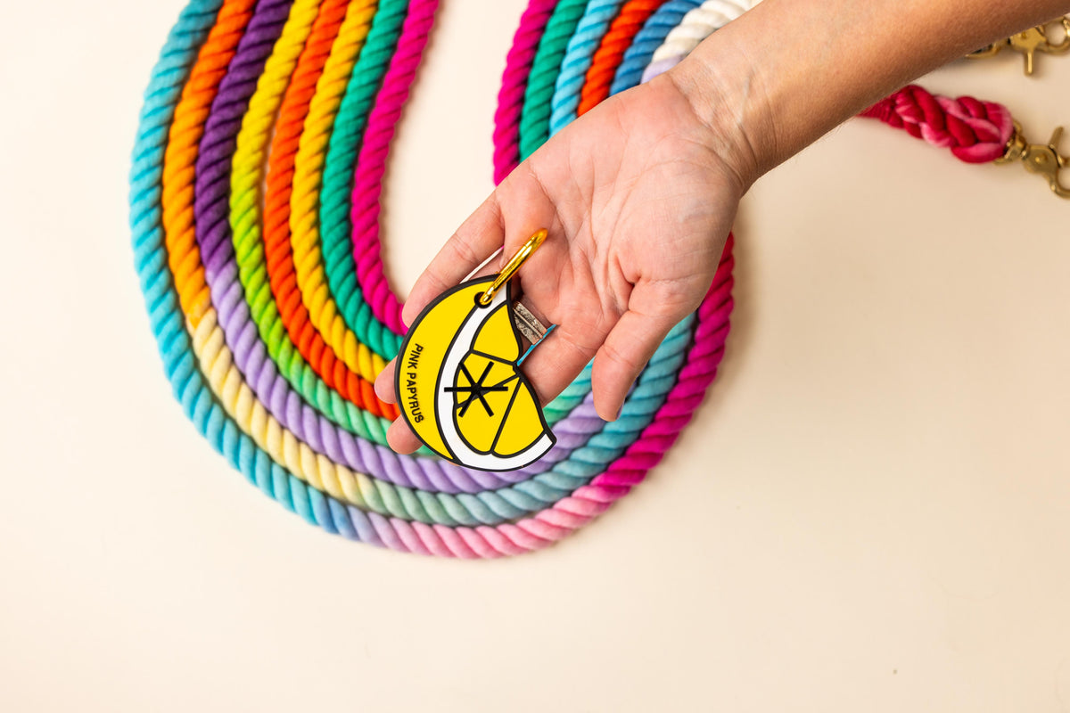 Lemon Slice Poop Bag Holder — additional photo 4