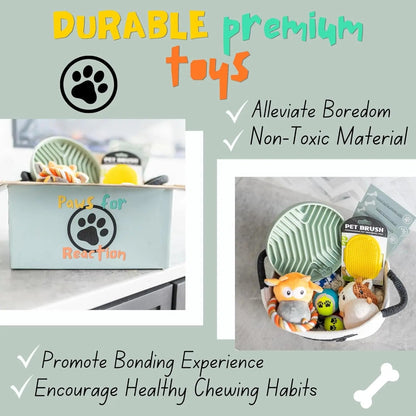 New Puppy Gift Basket and Starter Toy Set