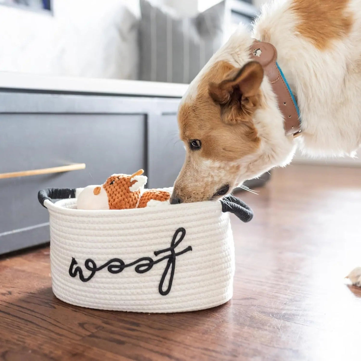 New Puppy Gift Basket and Starter Toy Set