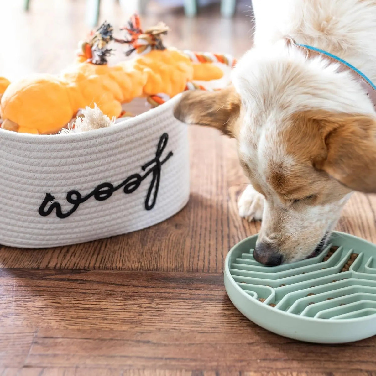 New Puppy Gift Basket and Starter Toy Set