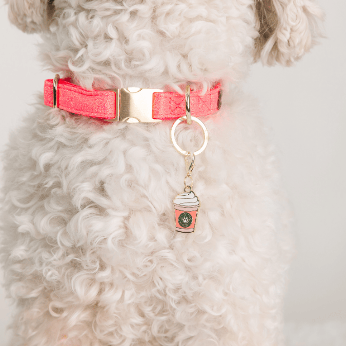 Puppuccino Dog Collar Charm — additional photo 2