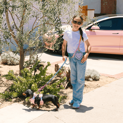 Lavender Heart Collapsible Dog Bowl — additional photo 3