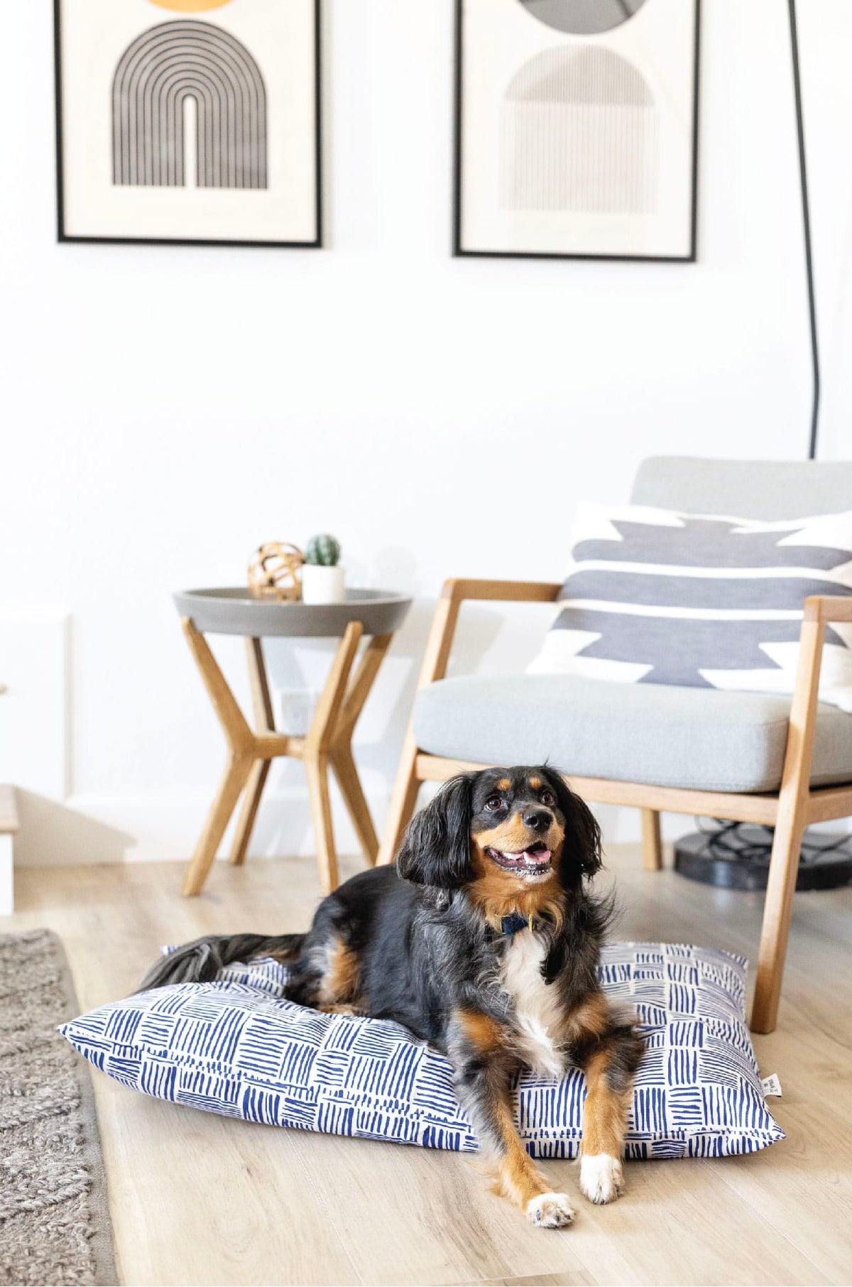 Quinn dog bed — additional photo 5