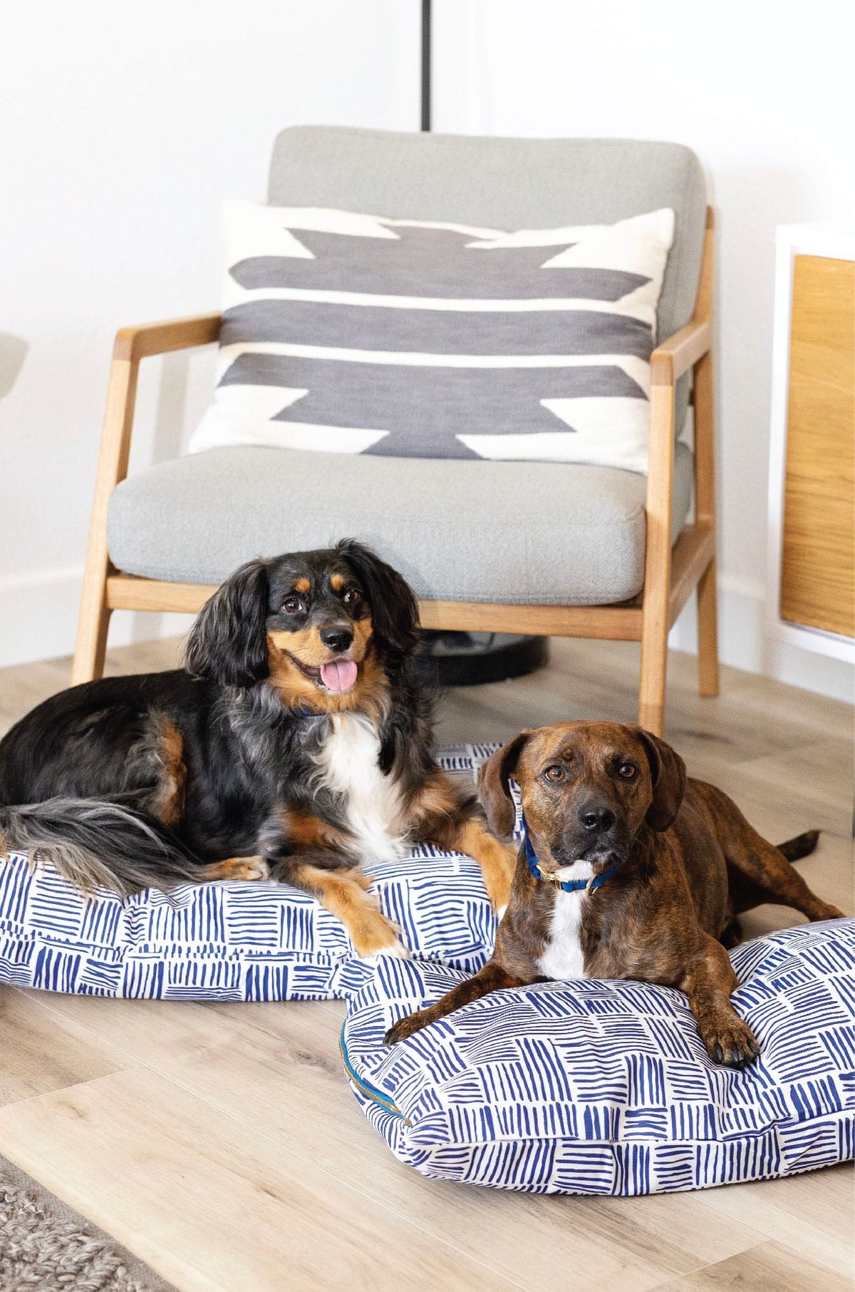 Quinn dog bed — additional photo 7