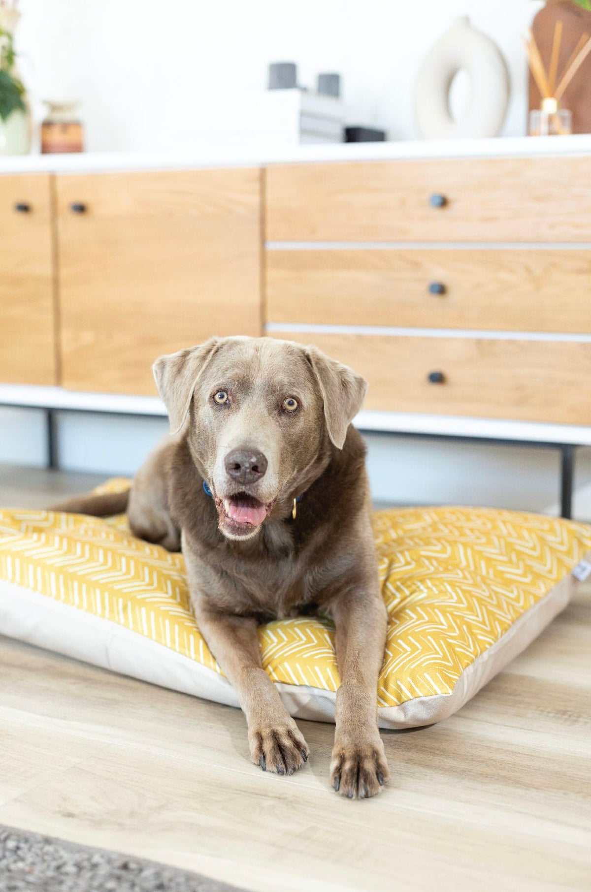 Rafa dog bed — additional photo 5