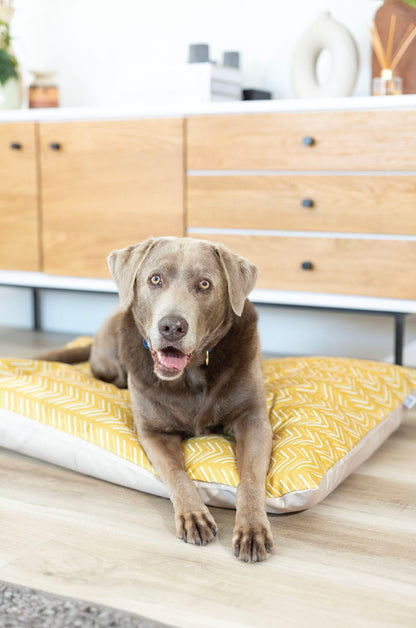 Rafa dog bed — additional photo 5