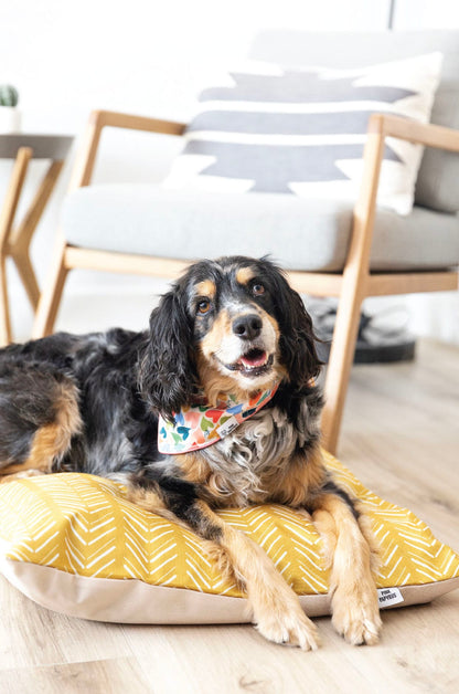 Rafa dog bed — additional photo 6