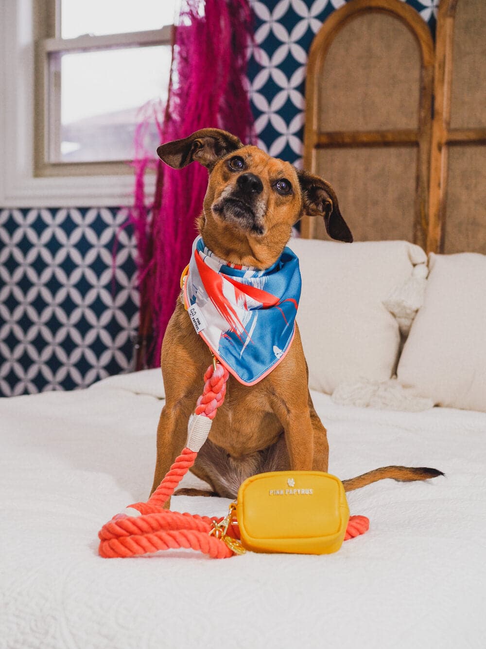 Reese dog bandana — additional photo 4