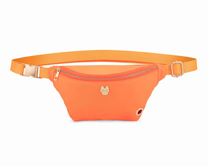 Remi – Hands-Free Dog Walking Belt Bag, Nylon
