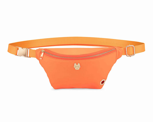 Remi – Hands-Free Dog Walking Belt Bag, Nylon
