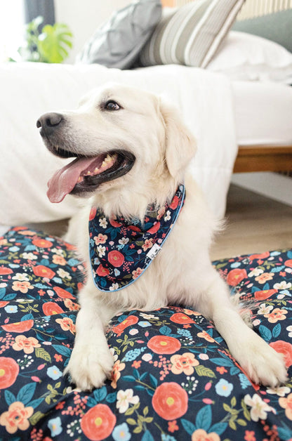 Riley dog bed — additional photo 6