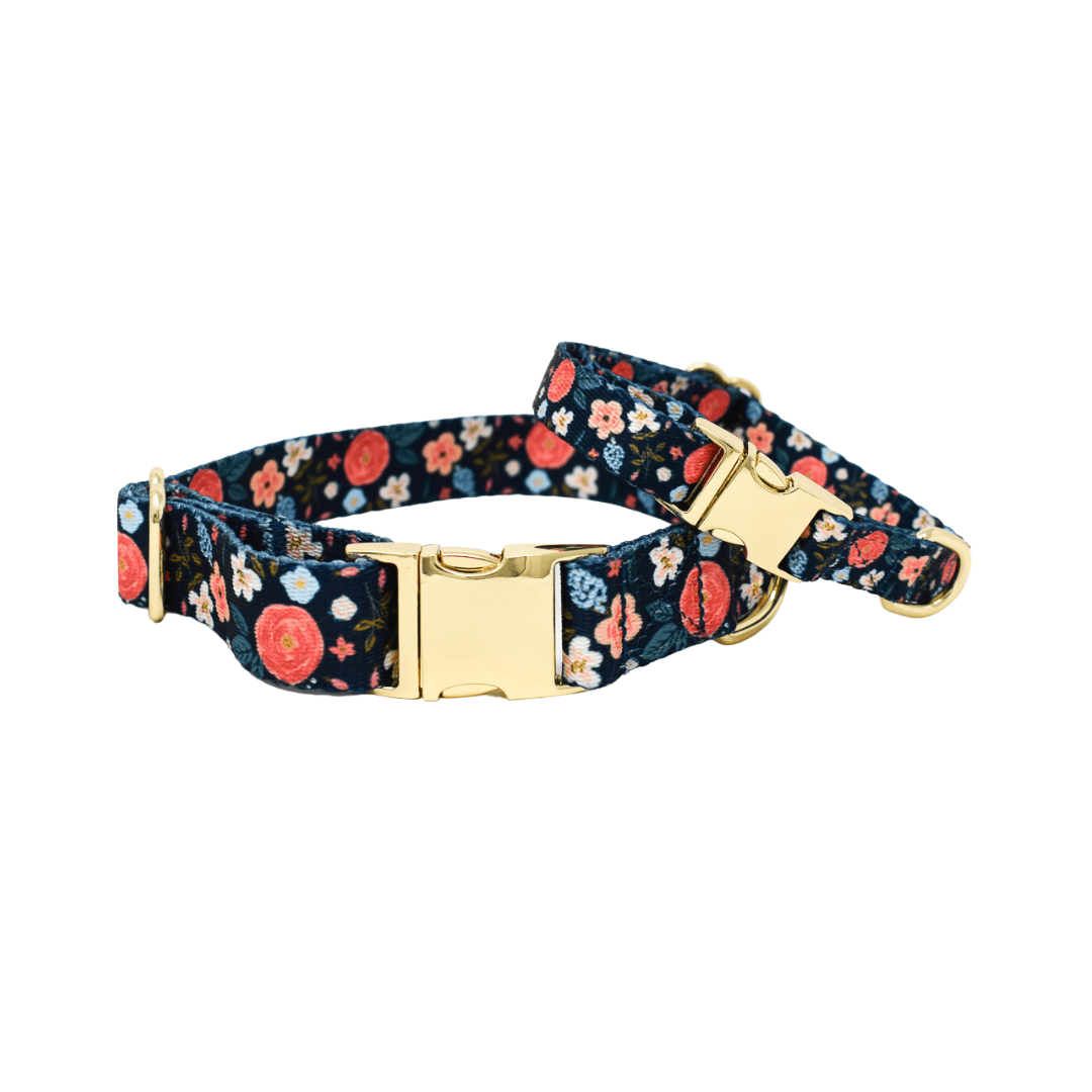 Riley – Floral Dog Collar, Adjustable XS–L