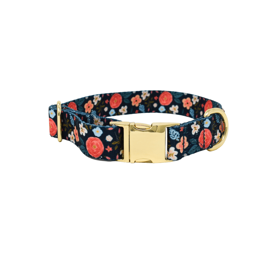 Riley dog collar — additional photo 2