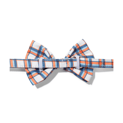 Ringo dog bow tie — additional photo 2