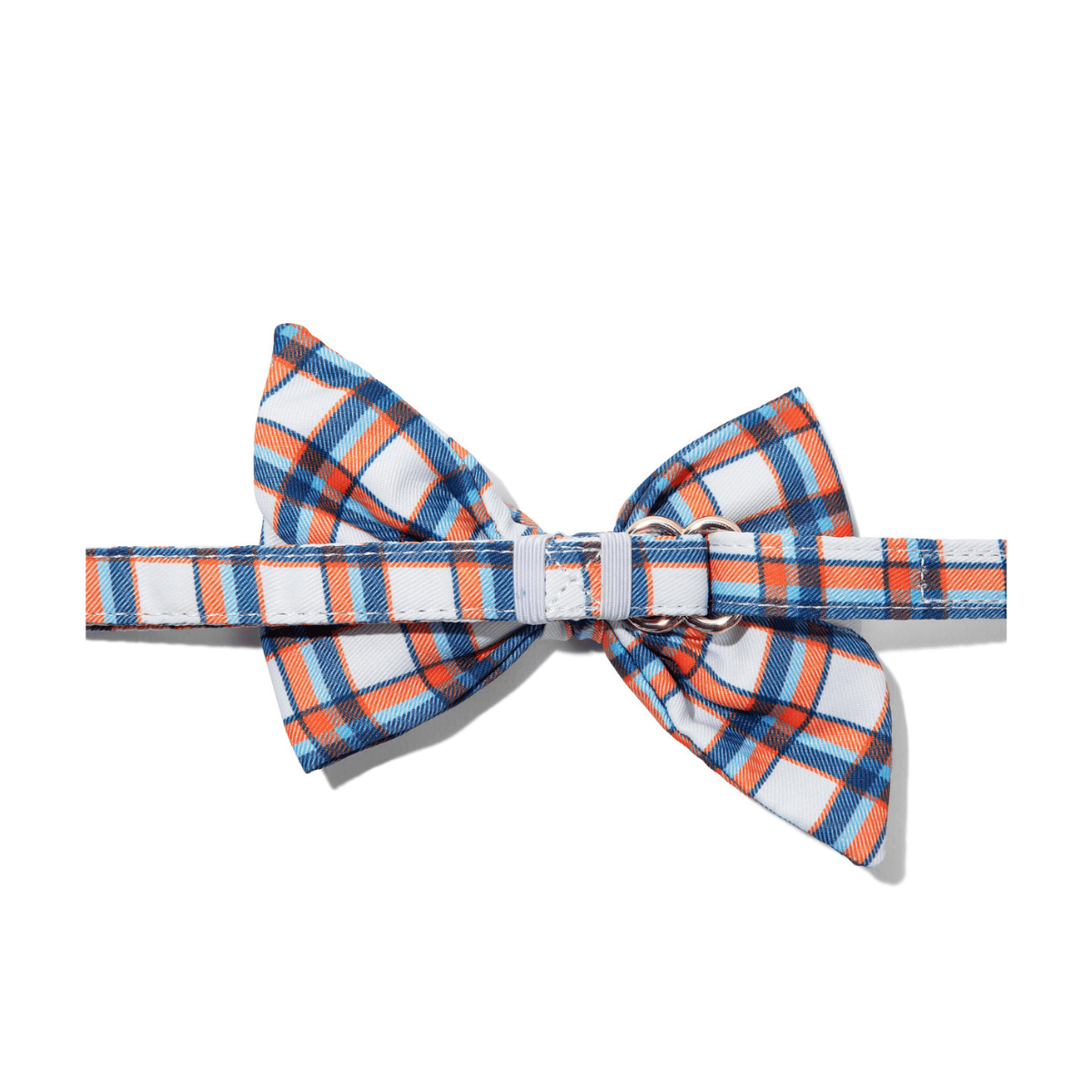 Ringo dog babe bow — additional photo 2