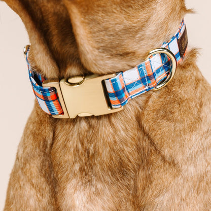 Ringo dog collar — additional photo 4