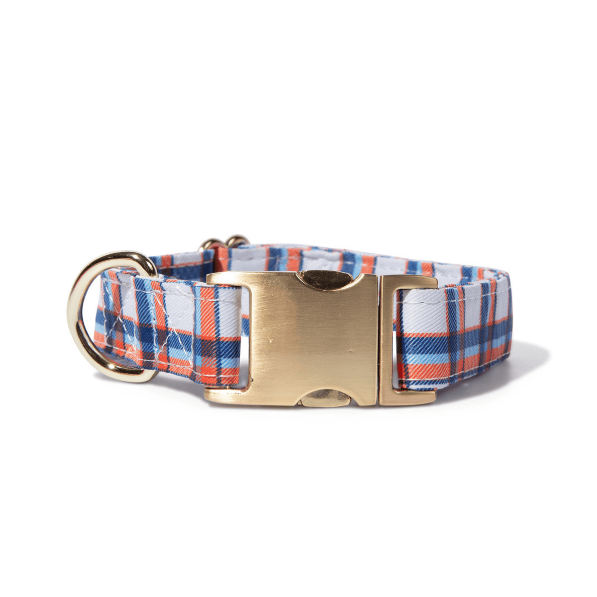 Ringo dog collar — additional photo 2