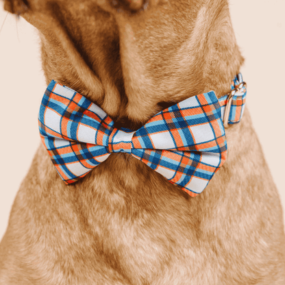 Ringo dog bow tie — additional photo 4